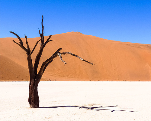 Soussesvlei Namibia